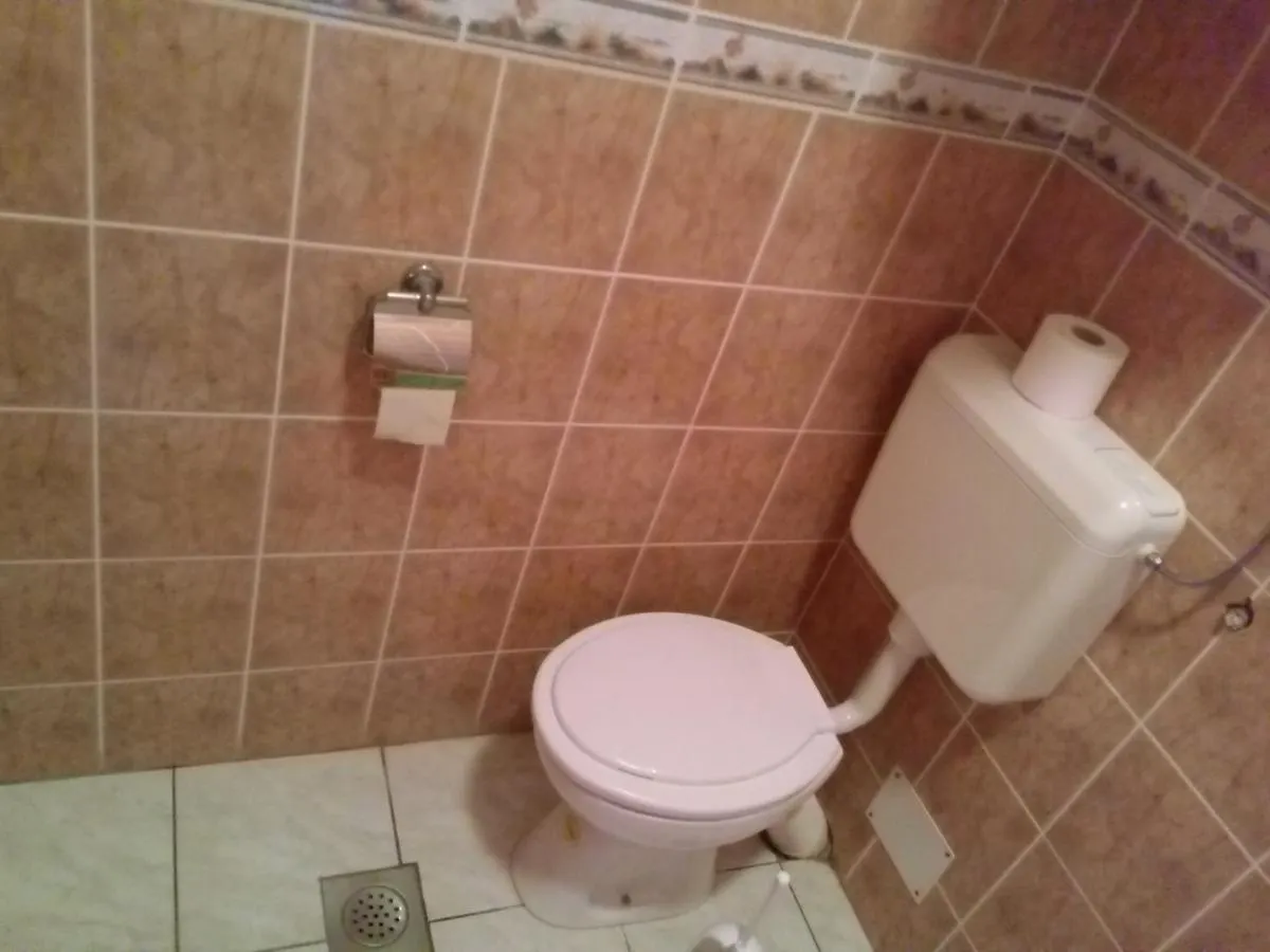 Maslina Apartman Vir